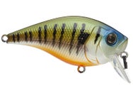 6th Sense Munch 40 Crankbait