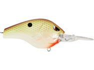 SPRO Russ Lane Fat Papa 70 Crankbait