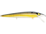 Smithwick Suspending Rattlin Rogue Jerkbait