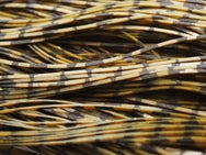 Skirts Unlimited Barbwire Skirts 10pk