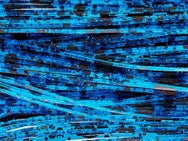 Skirts Unlimited Dalmatian Skirts 10pk