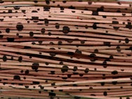 Skirts Unlimited Dalmatian Skirts 10pk