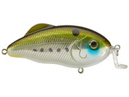 Strike King SW Hybrid Hunter Sexy Pogy