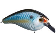 13 Fishing Scamp Squarebill 1.5 Crankbaits