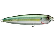 Teckel USA Kicknocker Micro Walking Bait