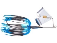 Teckel USA Maxqueaker Pup