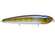 Teckel USA Kicknocker PUP Walking Bait