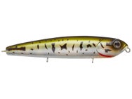 Teckel USA Kicknocker PUP Walking Bait