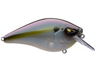 Team Ark CT 1.5 Series Squarebill Crankbaits