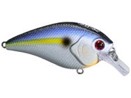 Xcite Baits XB-1 Squarebill Crankbaits