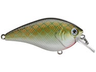 Xcite Baits XB-1 Silent Squarebill Crankbaits