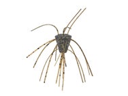 Xzone Stealth Finesse Series GBO Salted Dice 4pk