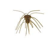 Xzone Stealth Finesse Series GBO Salted Dice 4pk