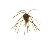 Xzone Stealth Finesse Series GBO Non-Salted Dice 4pk