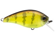 Yo-Zuri 3DB Series Squarebill Crankbait 1.5