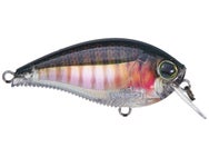 Yo-Zuri 3DB Series Squarebill Crankbait 1.5