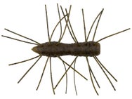 Z-Man Fuzzy Bugz 4pk