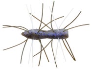 Z-Man Fuzzy Bugz The Deal 1.75"