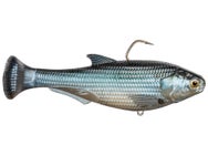 Z-Man Shadtron LT Fast Sink Glimmer Shad 6"