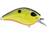 Square Bill Shallow Diving Crankbaits