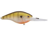 Bait Camp Matte Baby Gill