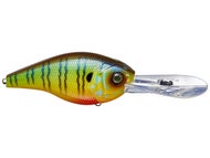 Mud Gill