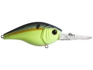 Sexified Chartreuse Shad