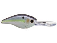Wild Shad