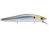 4K Shad