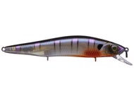 Bluegill Spawn