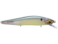Ghost Bone Minnow