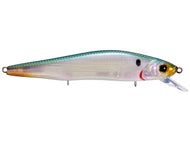 Ghost Pro Shad