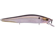 Ghost Threadfin Shad