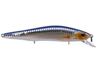 Live Shiner