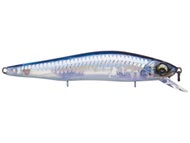 Pro Blue Scales