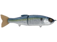 Shop All Clearance Swimbaits