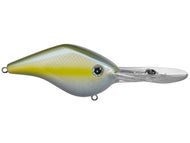 Grand Shad