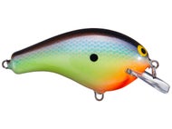 Blue Chartreuse Shad