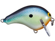 Blue Chartreuse Shad