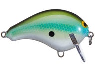 Blue Olive Shad