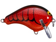 Cooked Crawdad