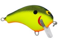 Chartreuse Shad