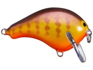Purple Gill
