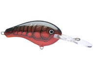 Red Crawdad