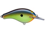 Blue Chartreuse Shad