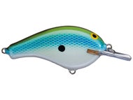 Blue Olive Shad