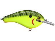 Chartreuse Shad