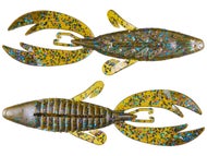 Tilapia