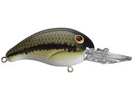 Baby Bass