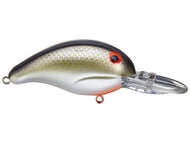 Louisiana Shad